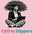 CEO In Slippers | Tools and Support for Women Working Online - Home